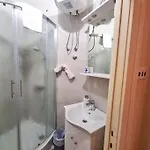 Dalmatian In The Center *
