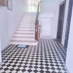 Dalmatian In The Center *