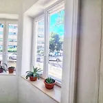 Dalmatian In The Center Apartment Split