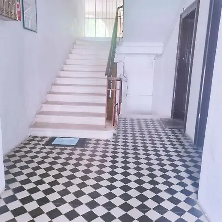 Dalmatian In The Center *