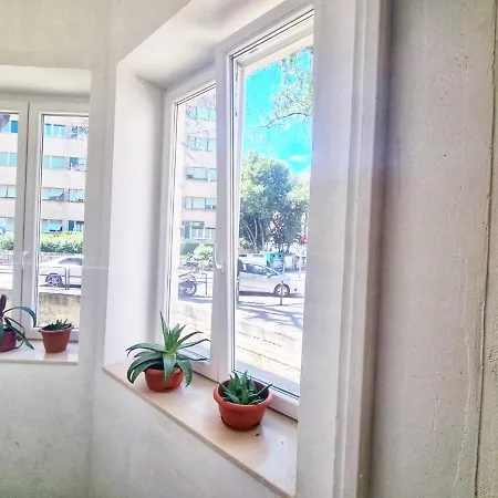 Dalmatian In The Center Apartment Split