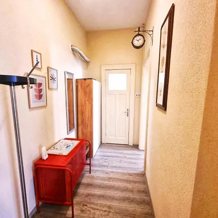 Dalmatian In The Center Apartment Split