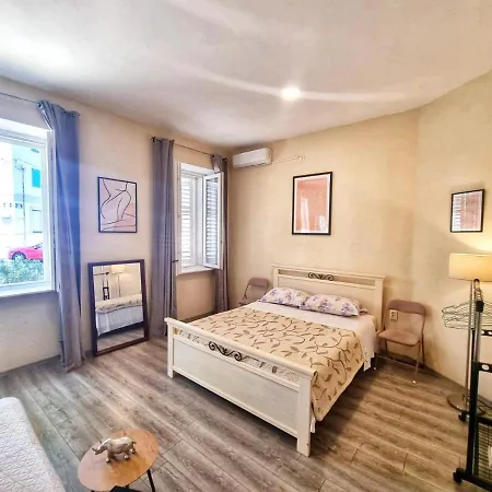 Dalmatian In The Center Apartman