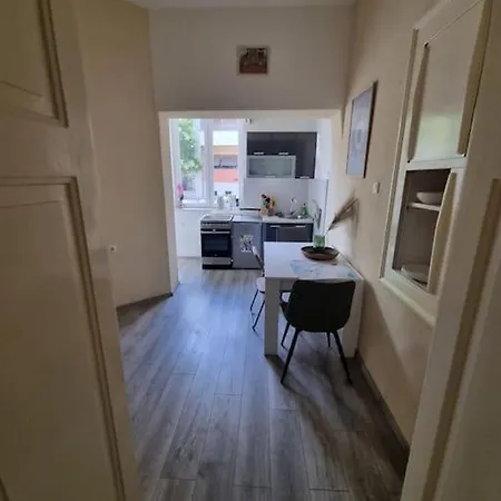 Dalmatian In The Center Apartman *